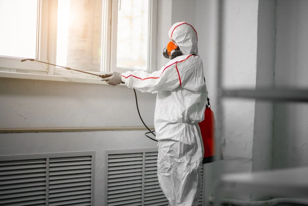 Professional mold remediation services in Shirland, IL